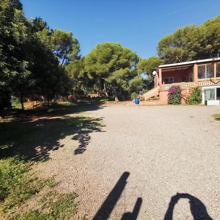 Bed and Breakfast Relais Pollo Loco Gilet Esterno foto